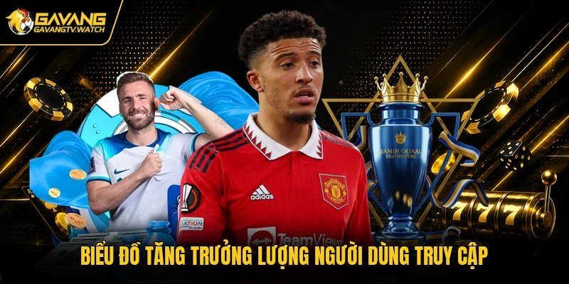 Biểu đồ tăng trưởng lượng người dùng truy cập