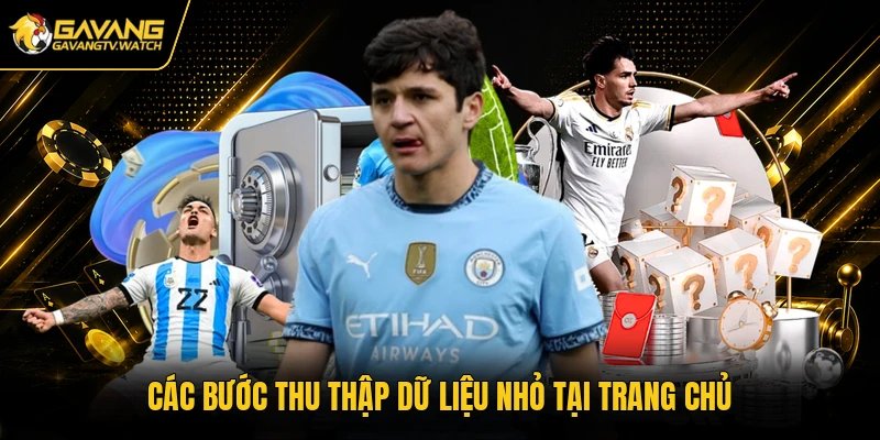 Các bước thu thập dữ liệu nhỏ tại trang chủ