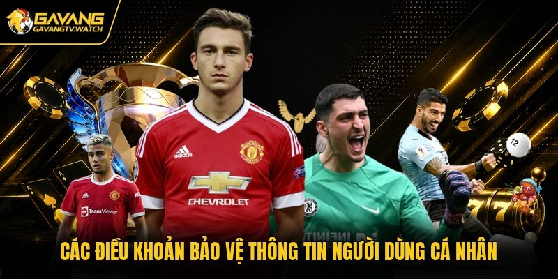 Các điều khoản bảo vệ thông tin người dùng cá nhân