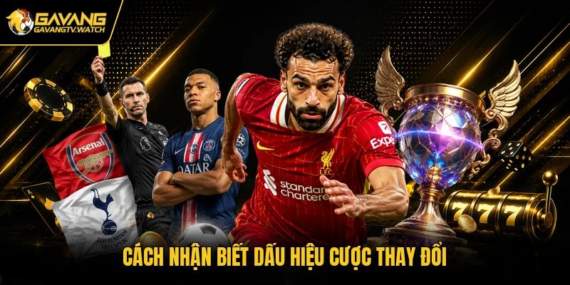 Cách nhận biết dấu hiệu cược thay đổi