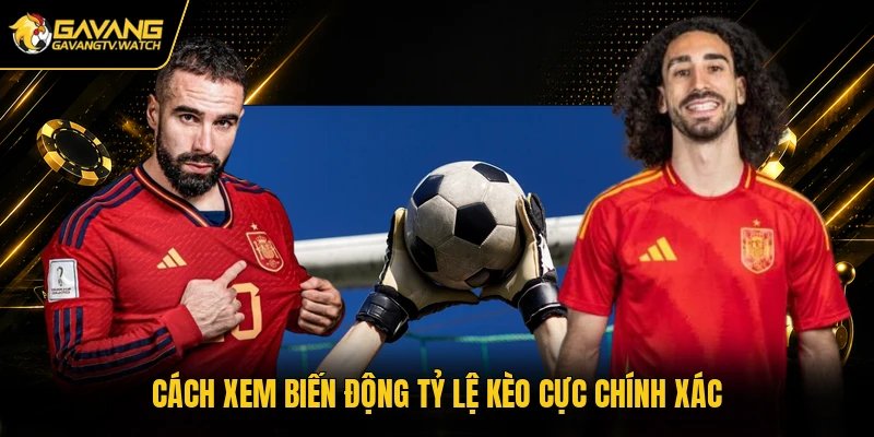 Cách xem biến động tỷ lệ kèo cực chính xác