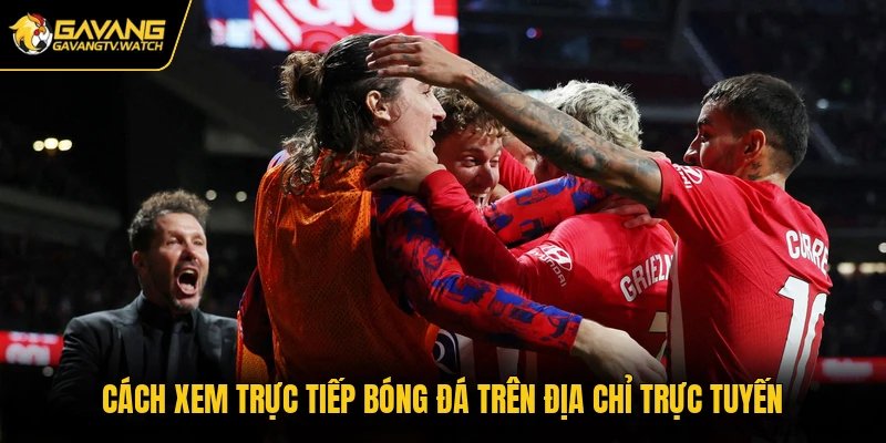 Cách xem trực tiếp bóng đá trên địa chỉ trực tuyến