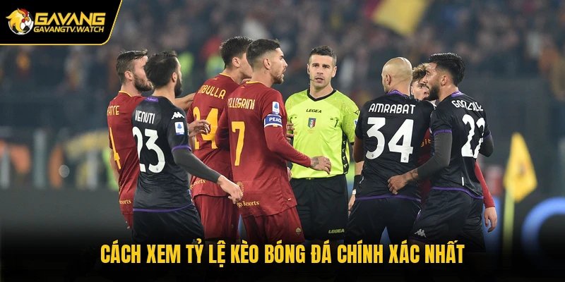Cách xem tỷ lệ kèo bóng đá chính xác nhất