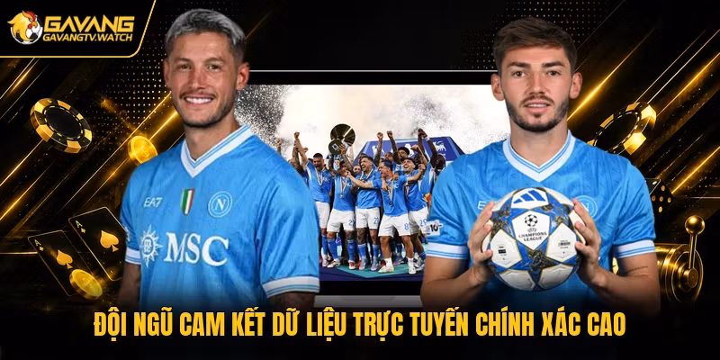 Đội ngũ cam kết dữ liệu trực tuyến chính xác cao