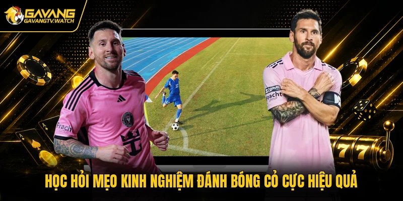 Học hỏi mẹo kinh nghiệm đánh bóng cỏ cực hiệu quả
