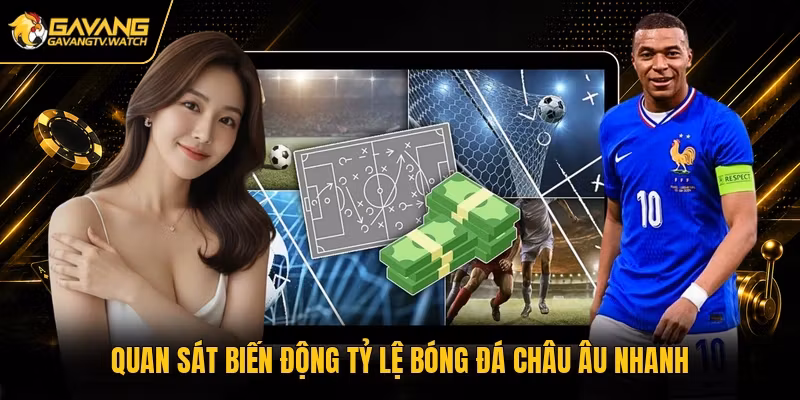 Quan sát biến động tỷ lệ bóng đá châu Âu nhanh