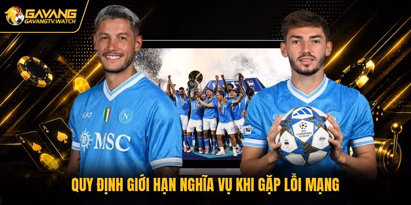 Quy định giới hạn nghĩa vụ khi gặp lỗi mạng