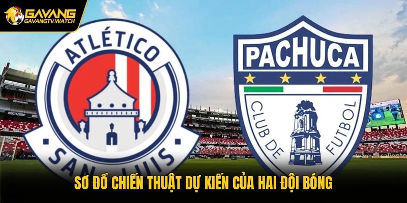 Sơ đồ chiến thuật dự kiến của hai đội bóng