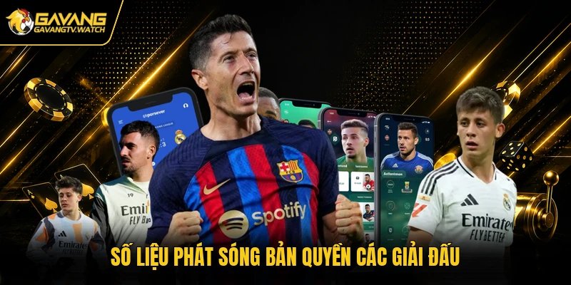 Số liệu phát sóng bản quyền các giải đấu