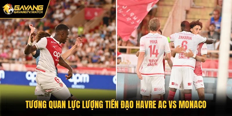 Tương quan lực lượng tiền đạo Havre AC vs Monaco