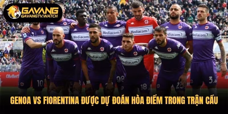Genoa vs Fiorentina được dự đoán hòa điểm trong trận cầu